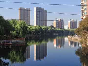 启东车祸后的变化，学习信心之力重塑城市未来