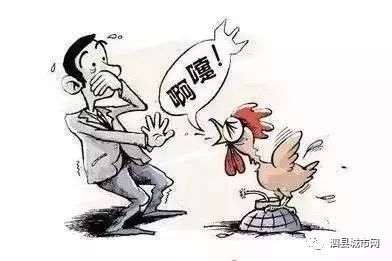 重庆H7N9禽流感最新动态，全面防控，保障人民健康