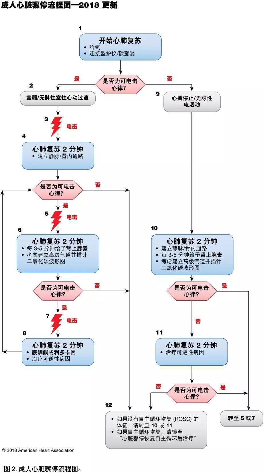 最新心肺复苏指南原版介绍与全面评测（2020年11月版）