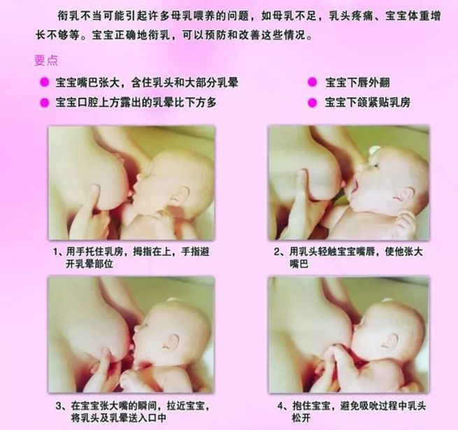 最新哺乳视频观看指南，适合初学者与进阶用户的观看步骤及往年最新哺乳视频解析