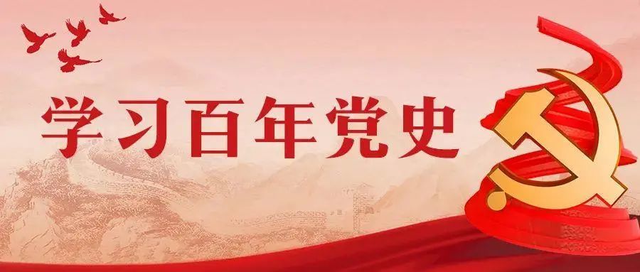 去年今日钴价风云背后的励志故事，学习之旅与自信成就之路