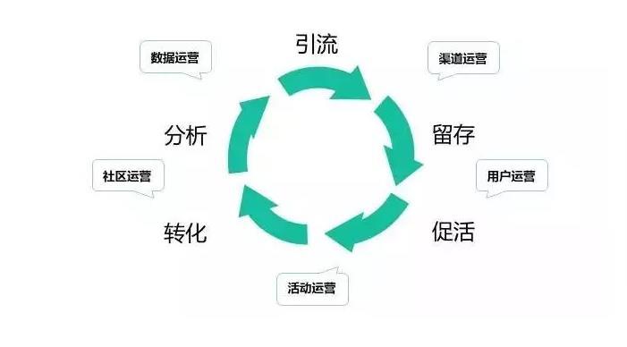 极乐永道最新章节下的温馨日常与十一月十日的情深纽带