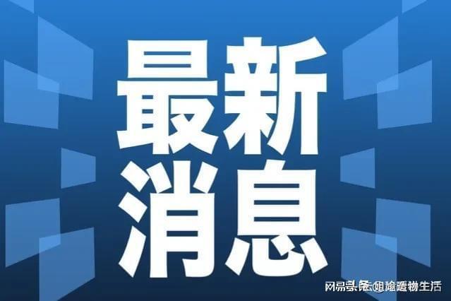 历史上的11月26日抖音韩语新歌之旅，自然美景与内心平静的探寻之路