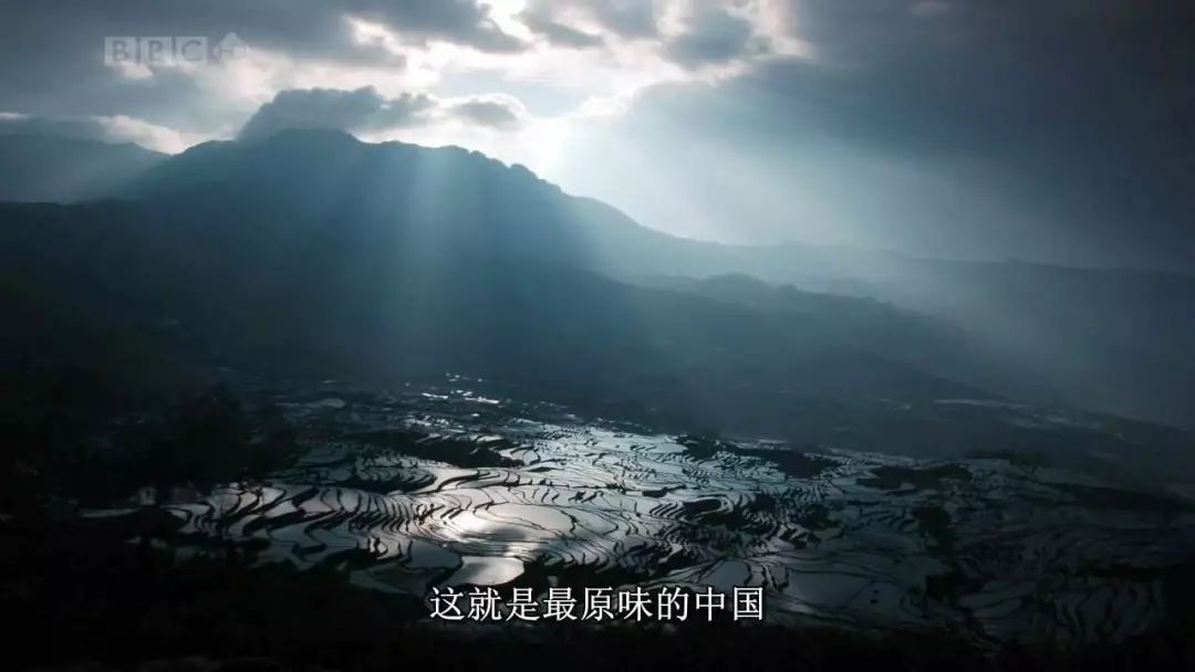 量子奇点之旅，探索自然美景，领略量子物理新突破，重拾心灵宁静